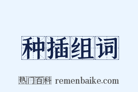 种插组词是什么意思的图片